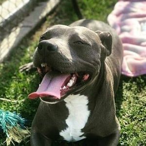 Meet your Posher, Dereck